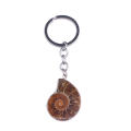 Natürliche Stein Fossil Anhänger Pendel Key Chain Auto Anhänger Großhandel